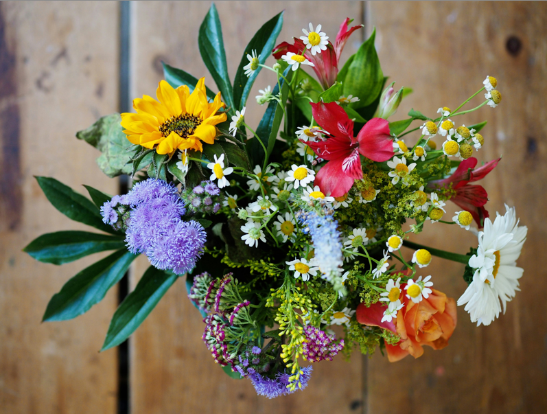 Blumenstrauß via Niklas Ohlrogge (niamoh.de)